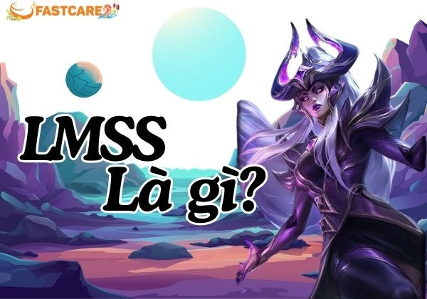 LMSS là gì?