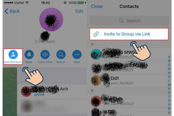 Cách thực hiện sao chép link nhóm Telegram&nbsp;bước 4, 5