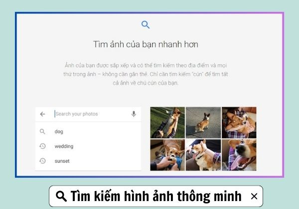 Tìm kiếm hình ảnh thông minh