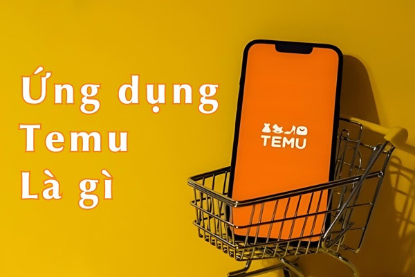 Ứng dụng Temu là gì