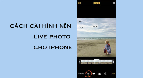 Cách cài hình nền Live Photo cho iPhone