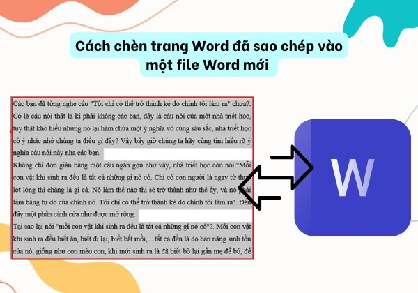 Cách copy trang Word không bị lỗi định dạng