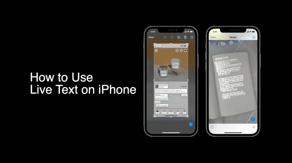 Chức năng Live Text trên iPhone