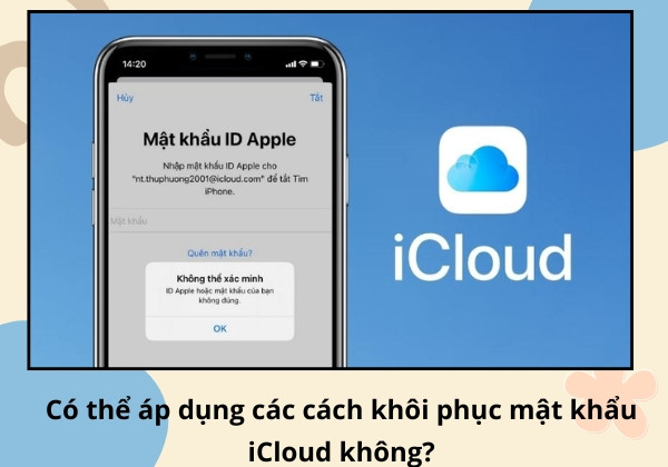 Có thể áp dụng các cách khôi phục mật khẩu iCloud không?