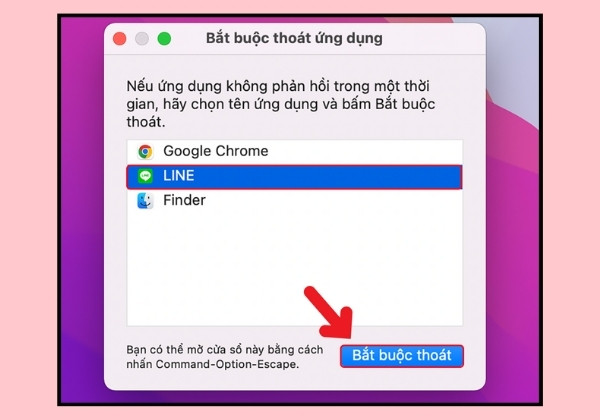 Macbook treo ứng dụng
