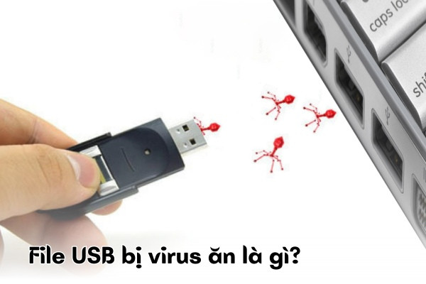 Khôi phục file bị virus ăn trong USB