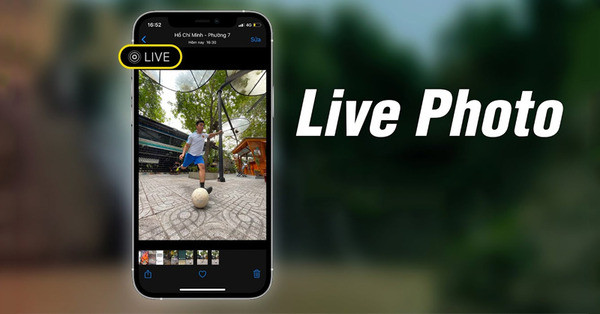 Cách cài hình nền Live Photo cho iPhone