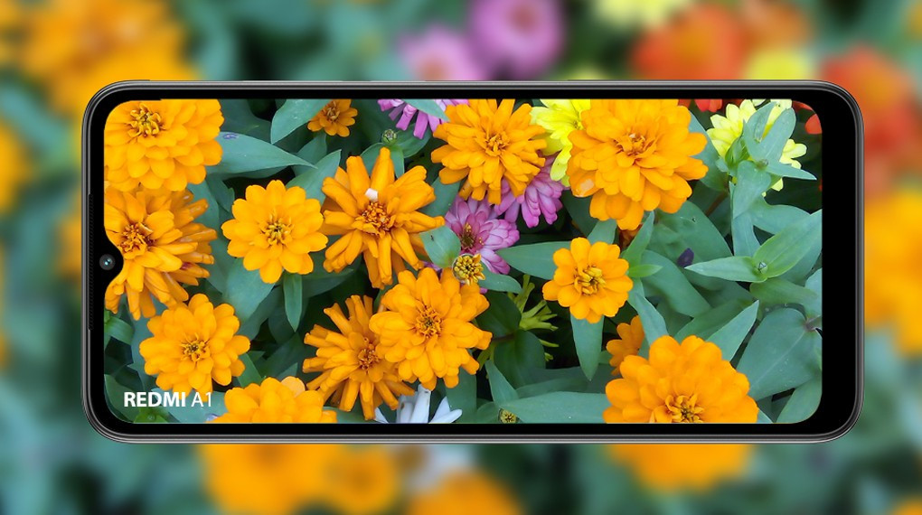 thay màn hình Xiaomi Redmi A1