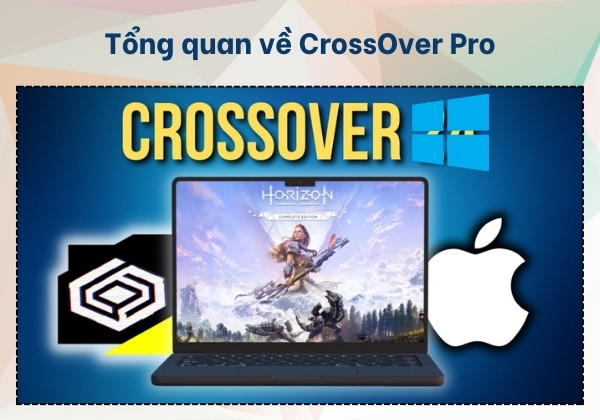 CrossOver Pro