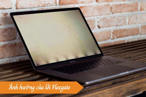 Lỗi Flexgate