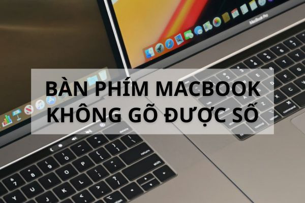Bàn phím MacBook không gõ được số