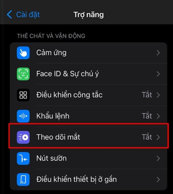 Eye Tracking iOS 18