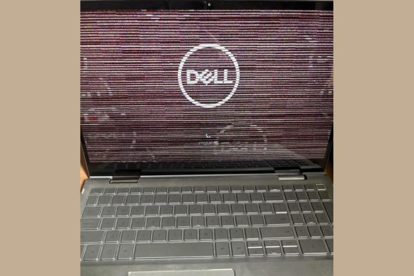 Sửa màn hình Dell bị sọc