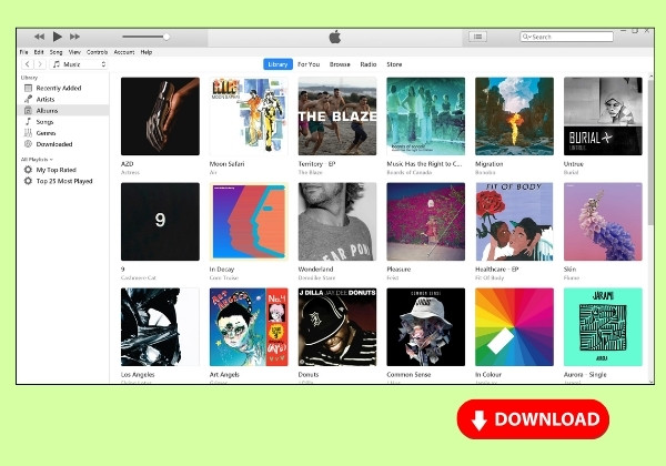 Check Apple