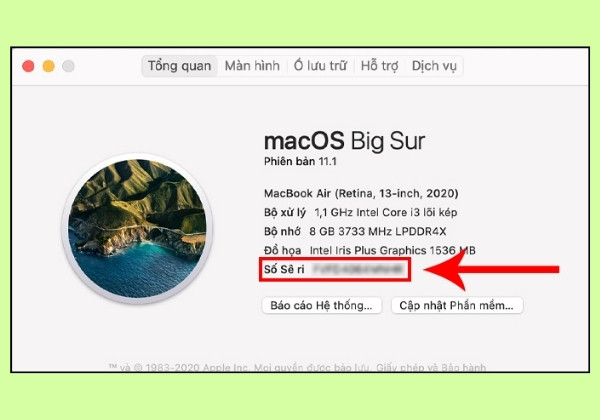 Check Apple