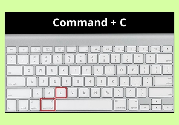 Check Apple