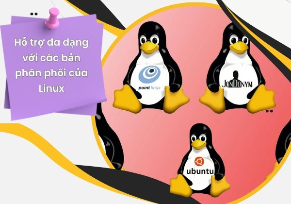 Hỗ trợ đa dạng với các bản phân phối của Linux