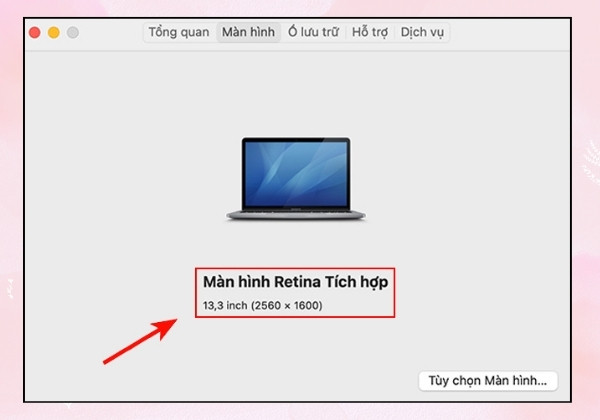Check cấu hình Macbook