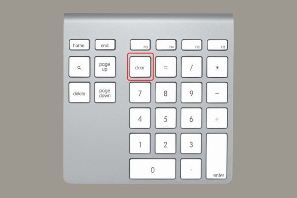 Bàn phím MacBook không gõ được số