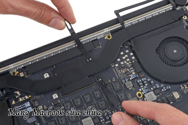 Màn hình Macbook bị chớp