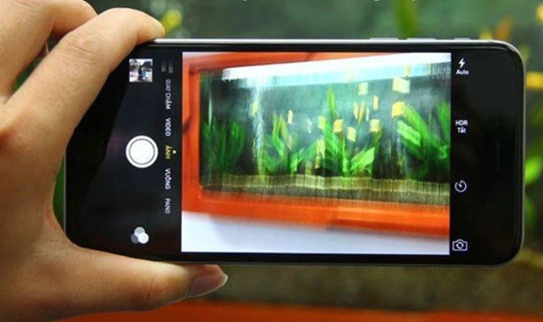 Nguyên nhân dẫn đến camera sau Oppo A56 bị hư