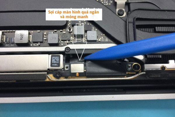Lỗi Flexgate