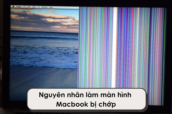 Màn hình Macbook bị chớp