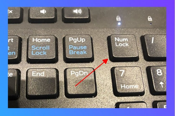 Nhấn nhầm nút Numlock Nhấn nhầm nút Numlock