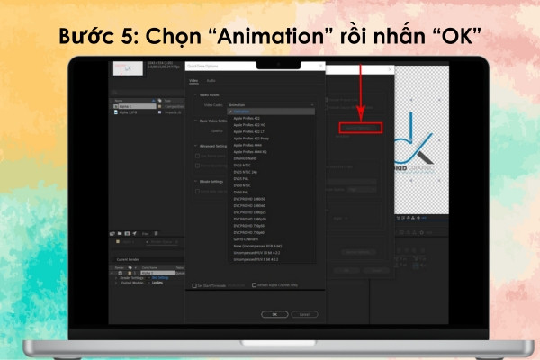 Xuất file không nền trong After Effect