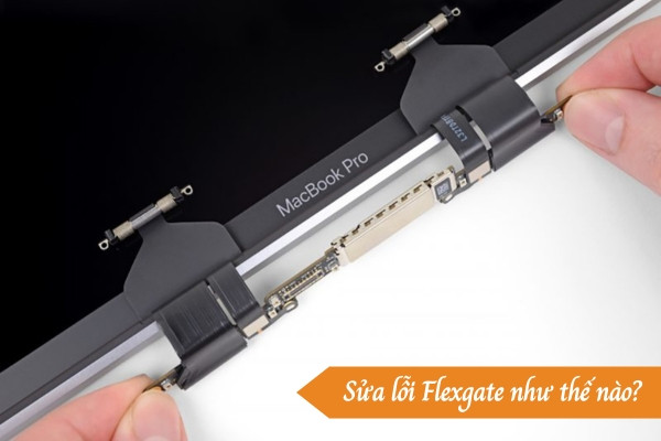 Lỗi Flexgate