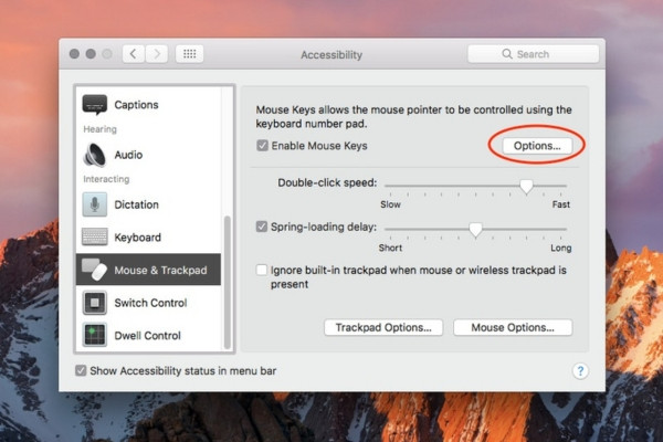 Không gõ được ký tự & * trên Macbook Pro