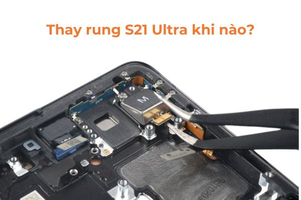 Thay rung Samsung S21 Ultra khi nào? Thay rung Samsung S21 Ultra khi nào?