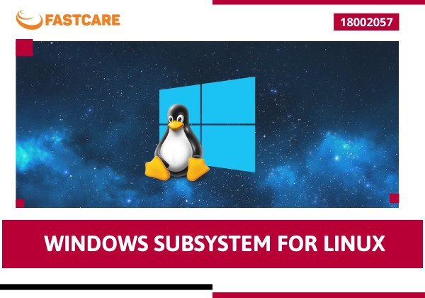 Windows Subsystem for Linux là gì? Cách tải Windows Subsystem Linux