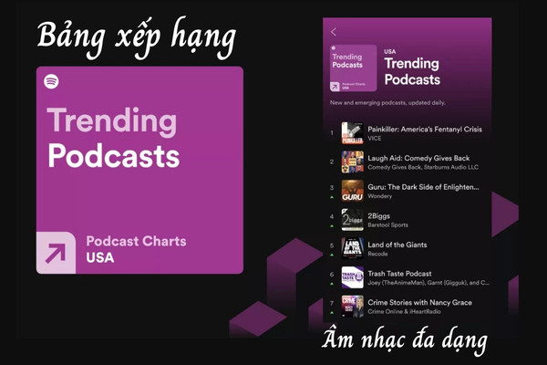 Bảng xếp hạng âm nhạc đa dạng Bảng xếp hạng âm nhạc đa dạng