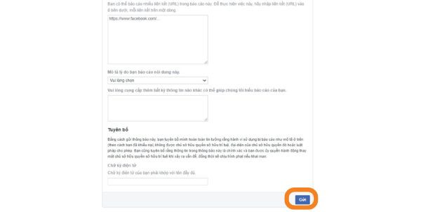 Báo cáo bản quyền với Facebook bước 3