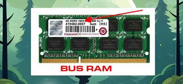 Bus RAM là gì? Bus RAM là gì?
