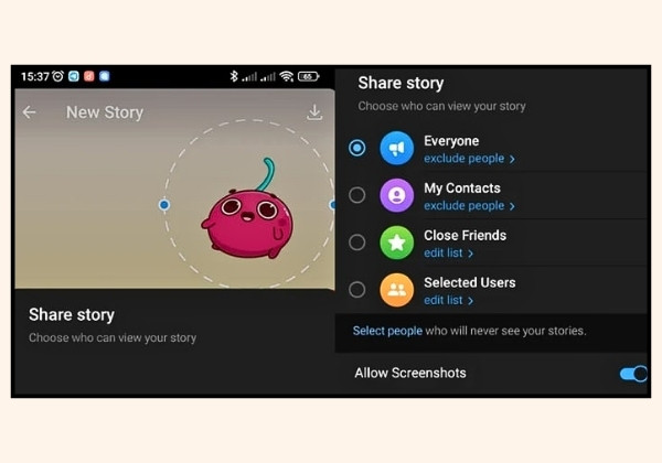 Các bước đăng Telegram Stories video bước 4