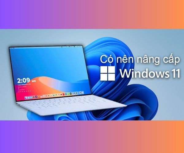 Các tính năng mới khi update Win 11