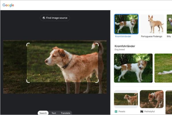Cách sử dụng google lens online: Tải ảnh lên bước 3 Cách sử dụng google lens online: Tải ảnh lên bước 3