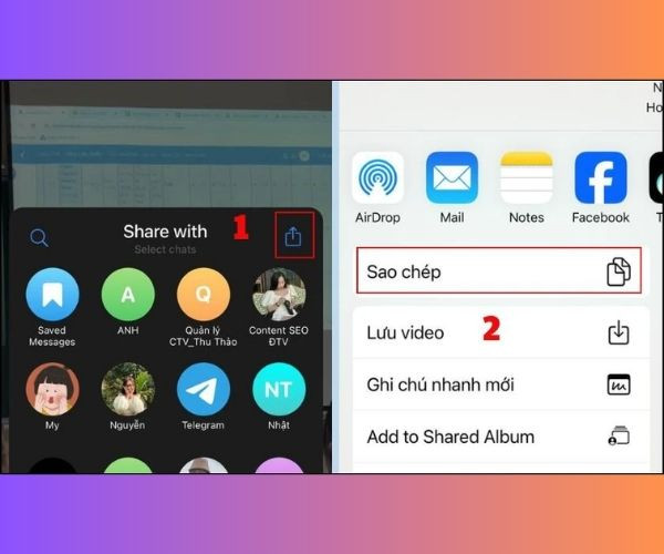 Cách tải video Telegram qua link bước 2