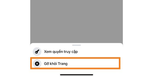 Cách xóa quyền Admin Fanpage trên điện thoại bước 3