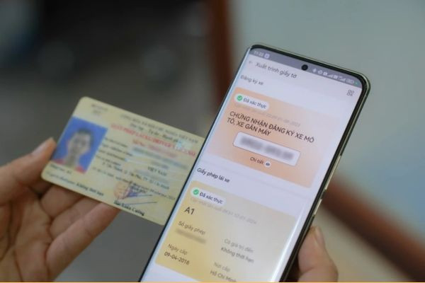 Xem GPLX Bị Tạm Giữ Trên Vneid