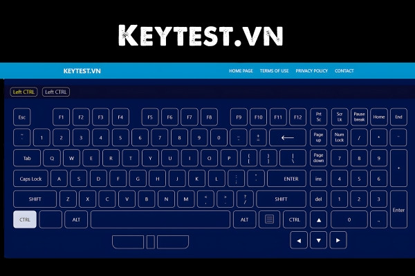 Keytest.vn&nbsp;