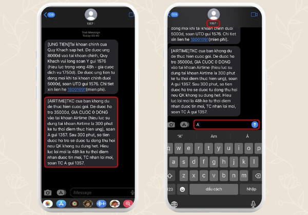 Ứng tiền Vina qua dịch vụ Airtime Plus Ứng tiền Vina qua dịch vụ Airtime Plus
