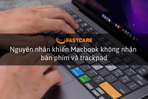 Nguyên nhân khiến Macbook không nhận bàn phím và trackpad