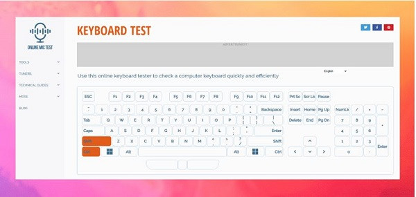 Online Mic Test