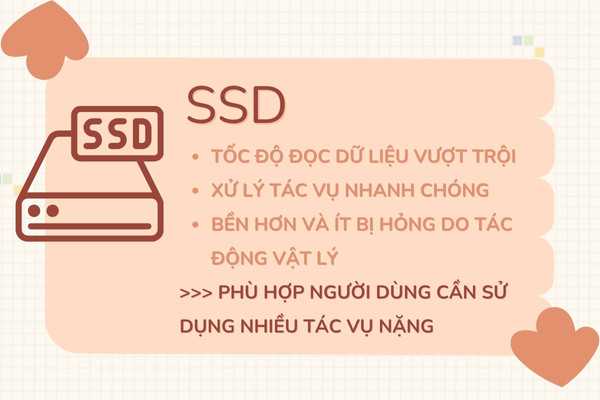 SSD (Solid State Drive)