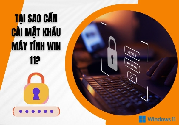 Tại sao cần cài mật khẩu máy tính Win 11?