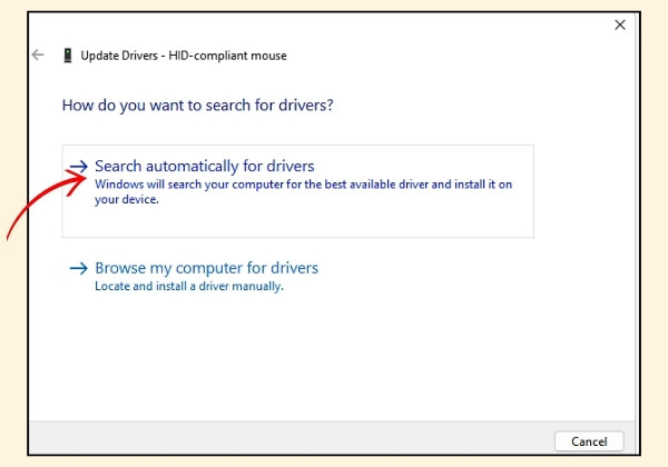 Update Driver Touchpad bước 3 Update Driver Touchpad bước 3
