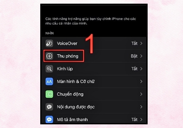 Vô hiệu hóa tính năng thu phóng trên iPhone B1 Vô hiệu hóa tính năng thu phóng trên iPhone B1
